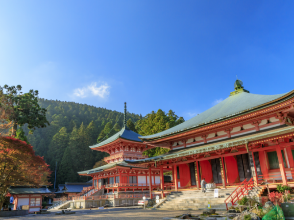 国宝 延暦寺 保存修理仮設工事