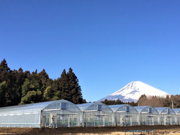 静岡農場施設 新築設備工事